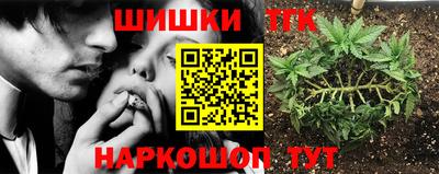 СК Вязники