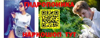 spice Вышний Волочёк