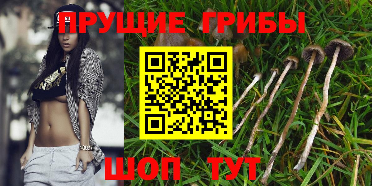 Псилоцибиновые грибы Magic Shrooms Гусев